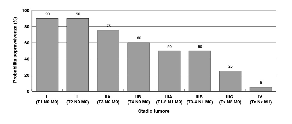 Cetuximab In First Line Treatment Of Metastatic Colorectal